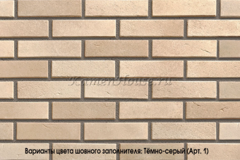 Камелот Рига 101